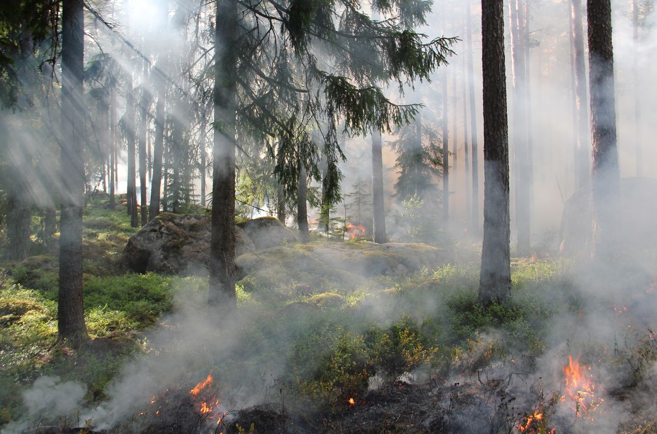 Fire Near Trakia Motorway Contained but Not Fully Extinguished