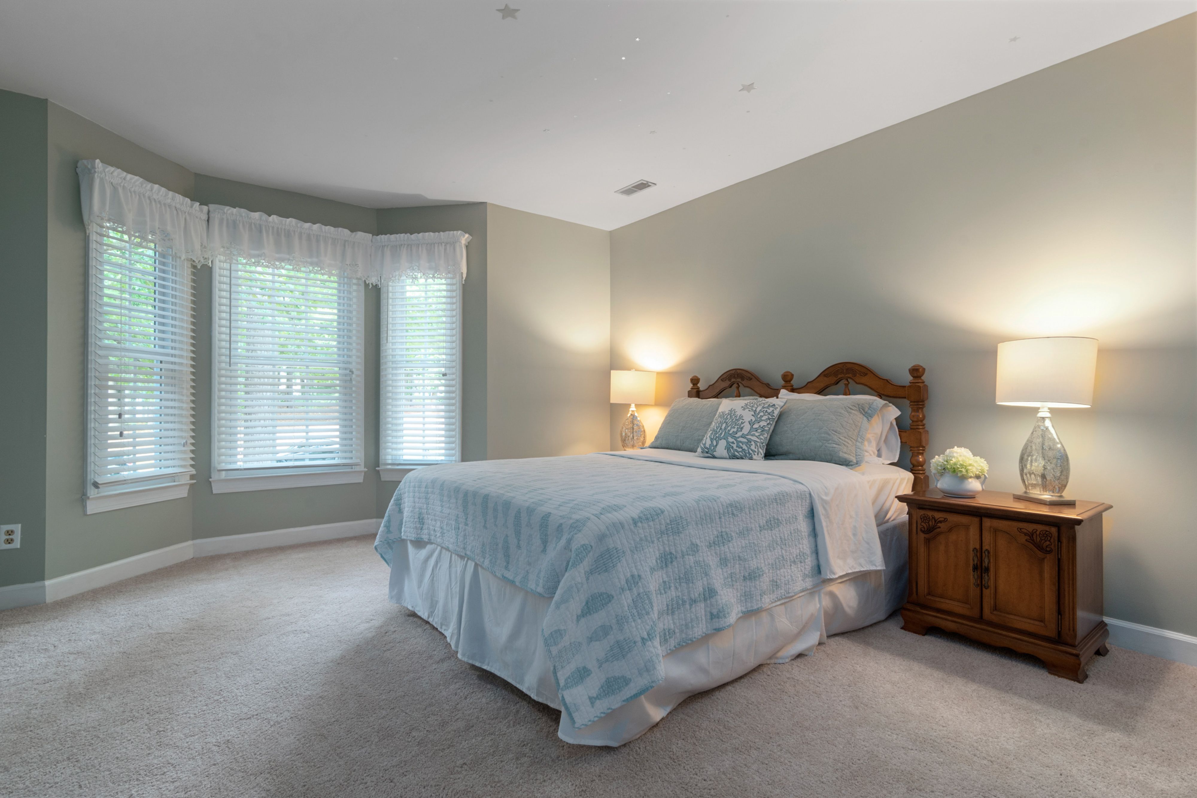 Plush Velvet Carpet flooring