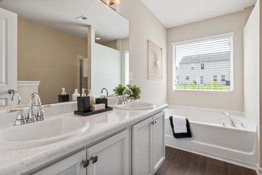 Elegant bathroom featuring a double sink and bathtub, accented with modern decor and natural light.
