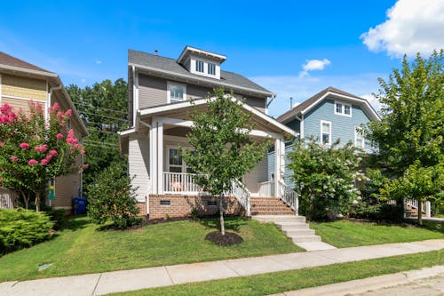 Free Tree in Front of a House Stock Photo