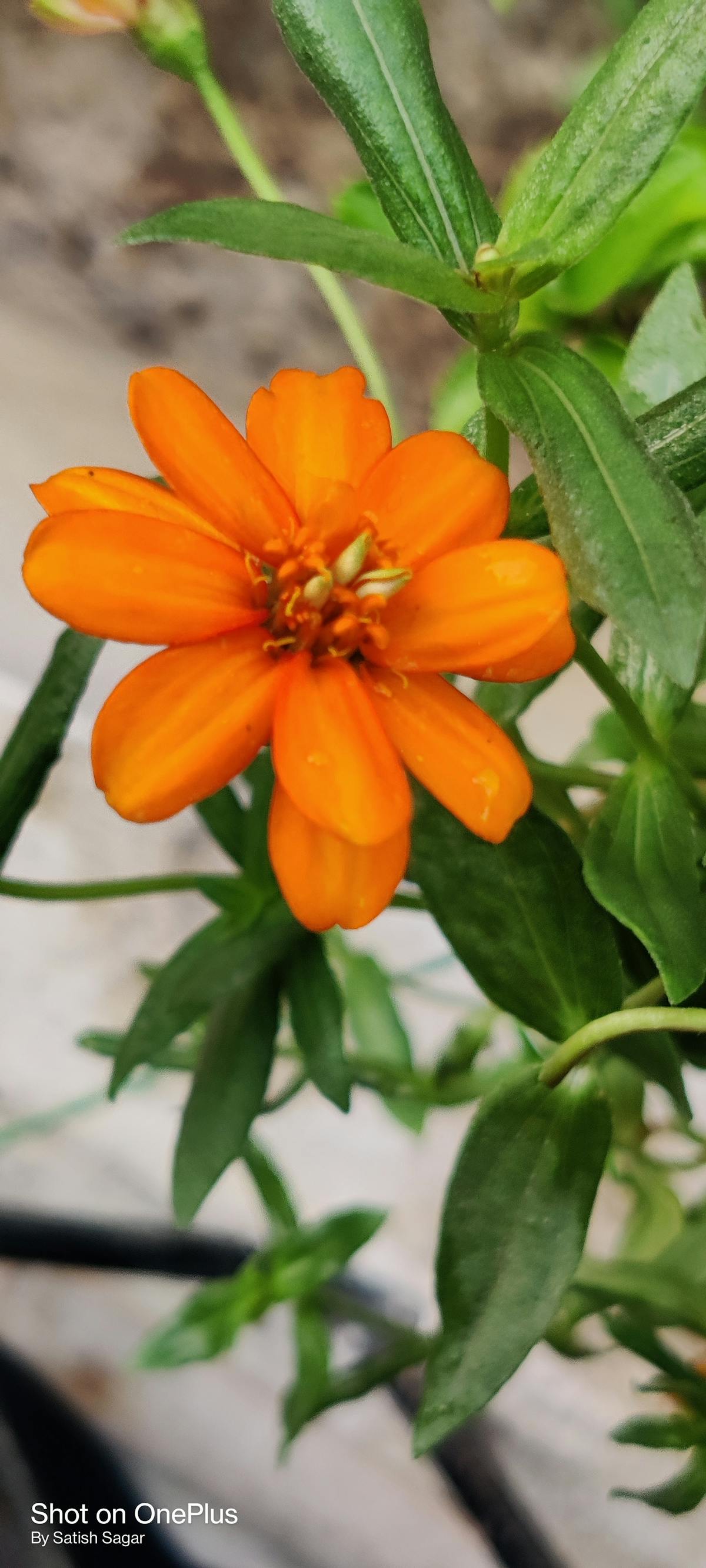 Family preparing an emergency kit at home