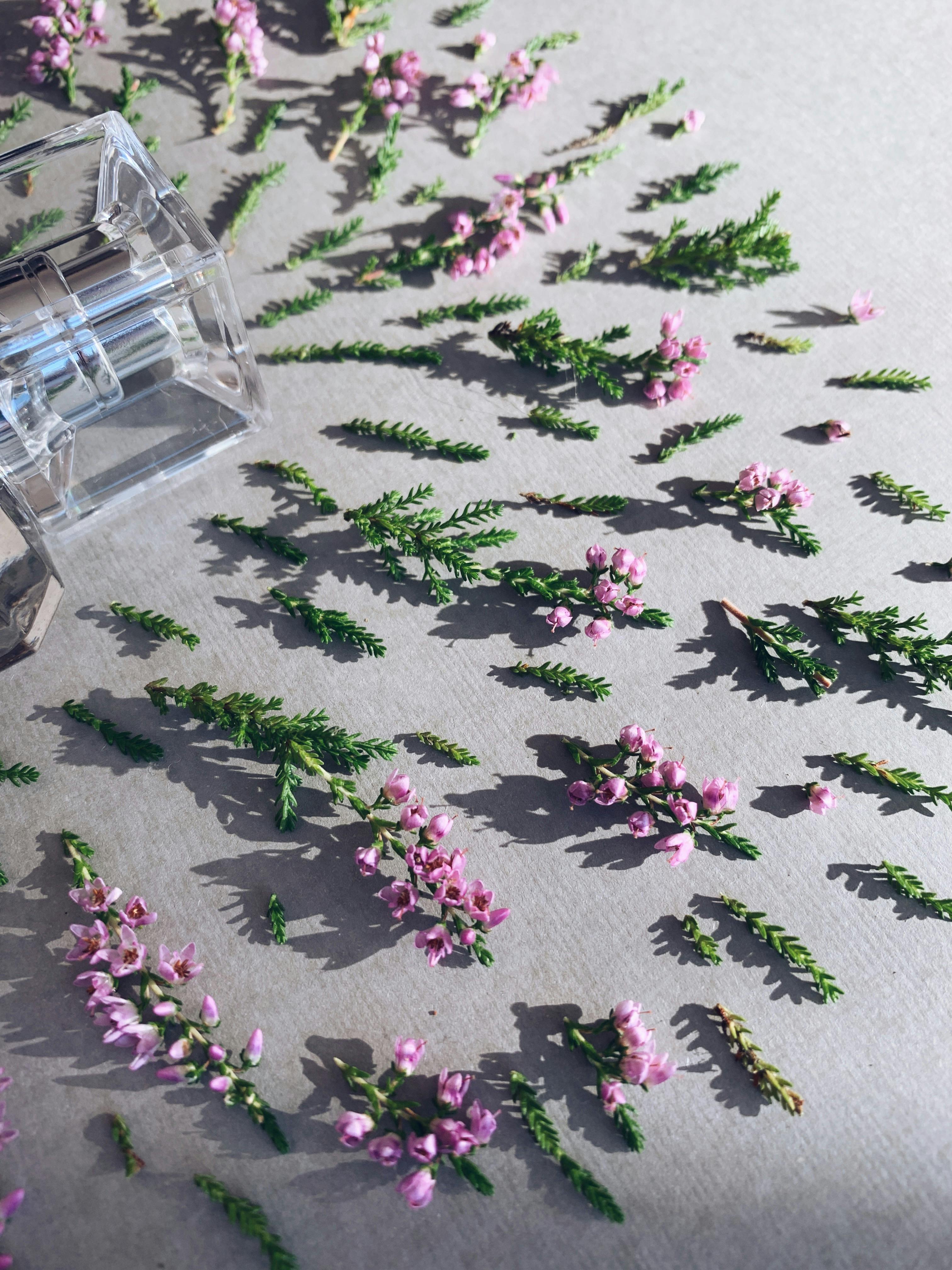 精致的树枝与花朵巧妙排列，营造出宁静的构图