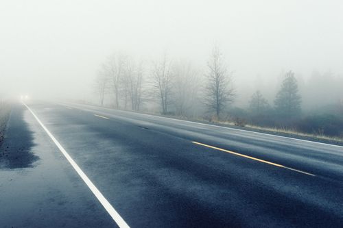 Free A foggy winter road with reduced visibility and bare trees lining the wet pavement. Stock Photo