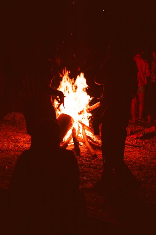 Fotos de stock gratuitas de fogueira, silhueta, sombras