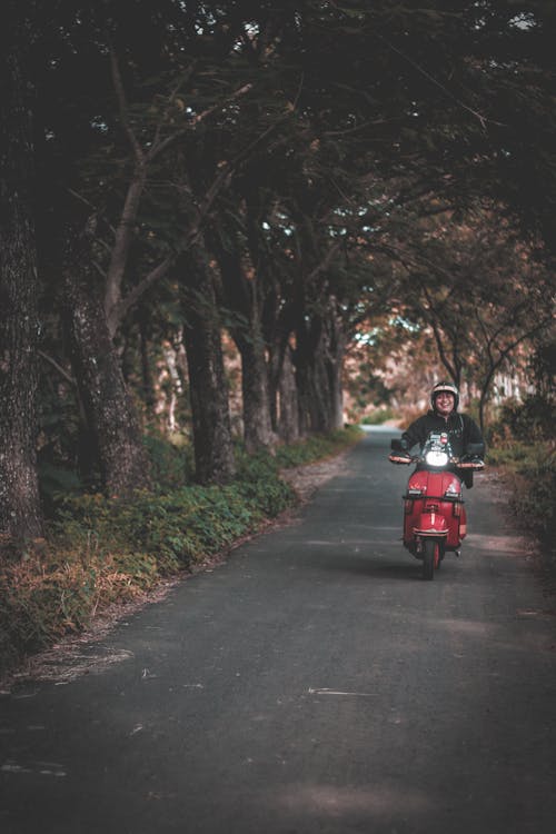 Free stock photo of forest, vespa Stock Photo