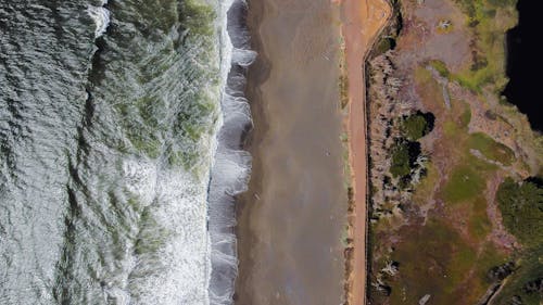 Free Drone Shot of a Beach Stock Photo