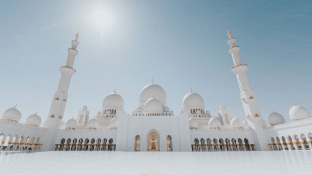Falcon hospital private visit — Abu Dhabi