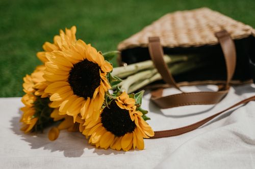 Free Bright sunflowers placed in a woven bag on a picnic blanket, capturing a warm and sunny day outdoors. Stock Photo