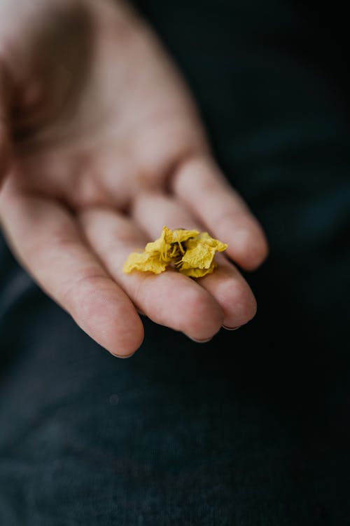 Hand Holding Dried Yellow Flower
