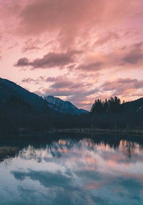 Foto stok gratis danau, di luar rumah, Fajar