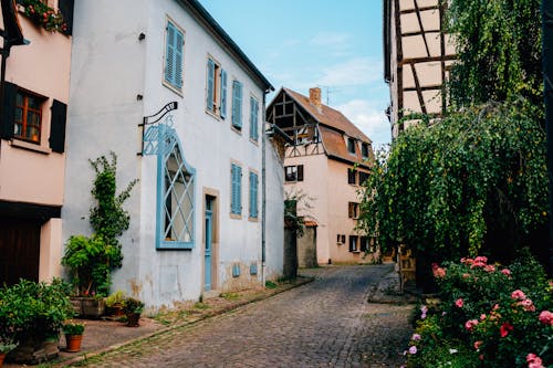 Paved sidewalk between aged residential buildings and blooming bush with lush foliage and flowerpots on street of old town against cloudy sky