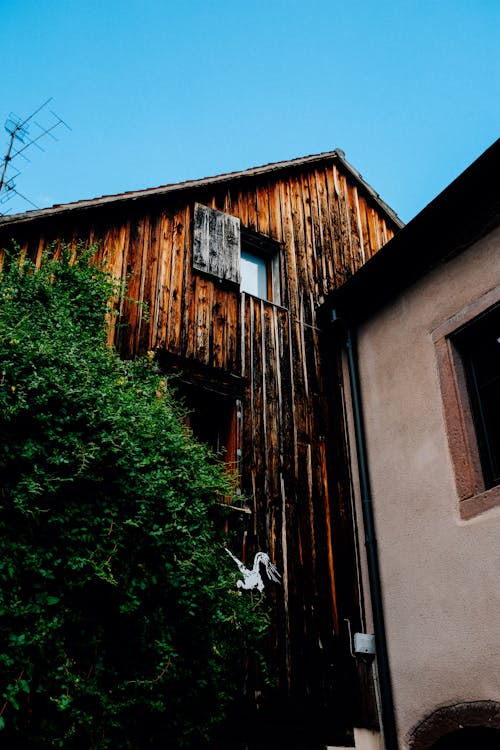 From below of aged building with wooden wall located near green tree and shabby house on street of suburb area