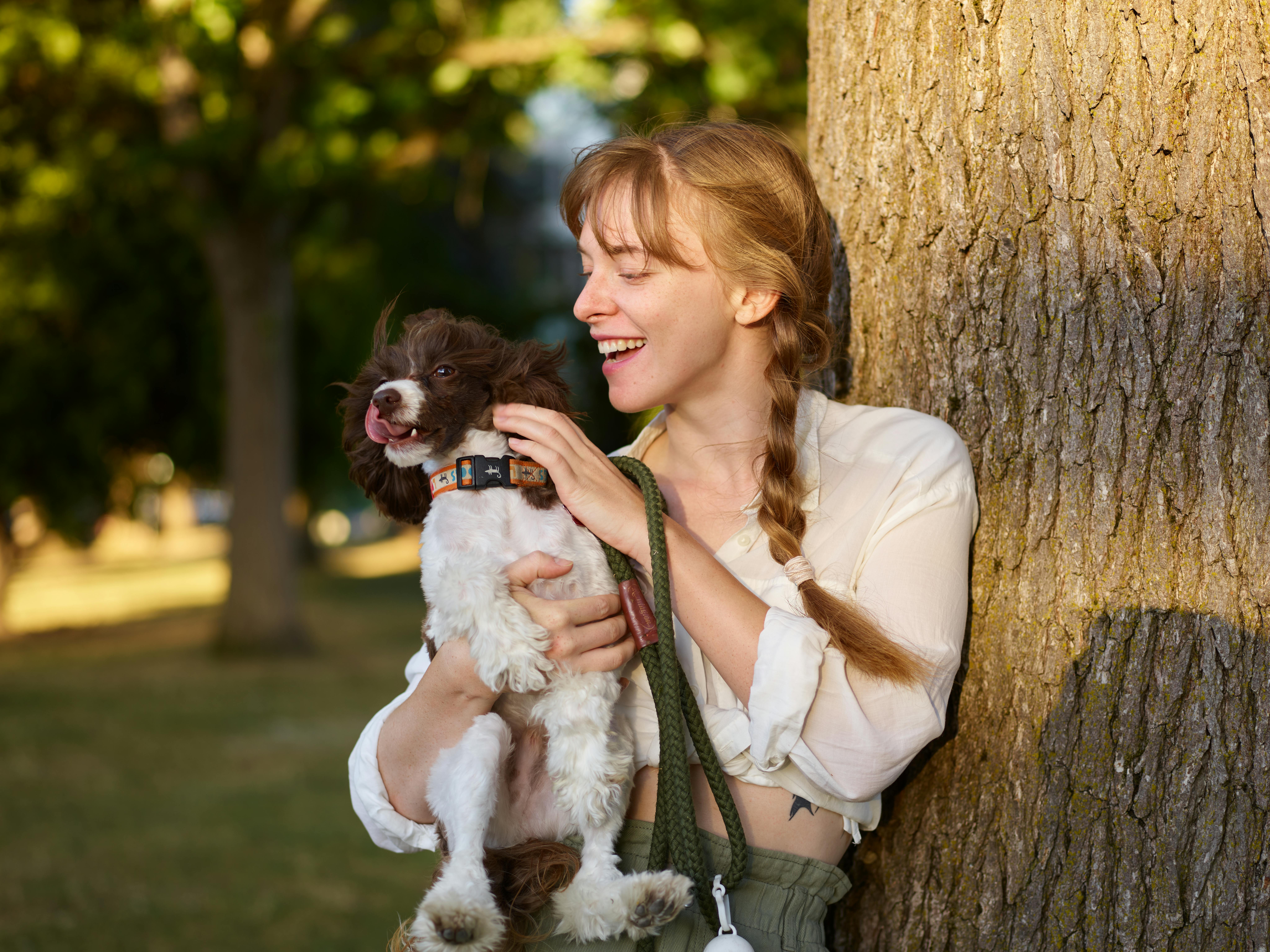 pet lifestyle more lifestyle pets — Photo by ArtHouse Studio on Pexels