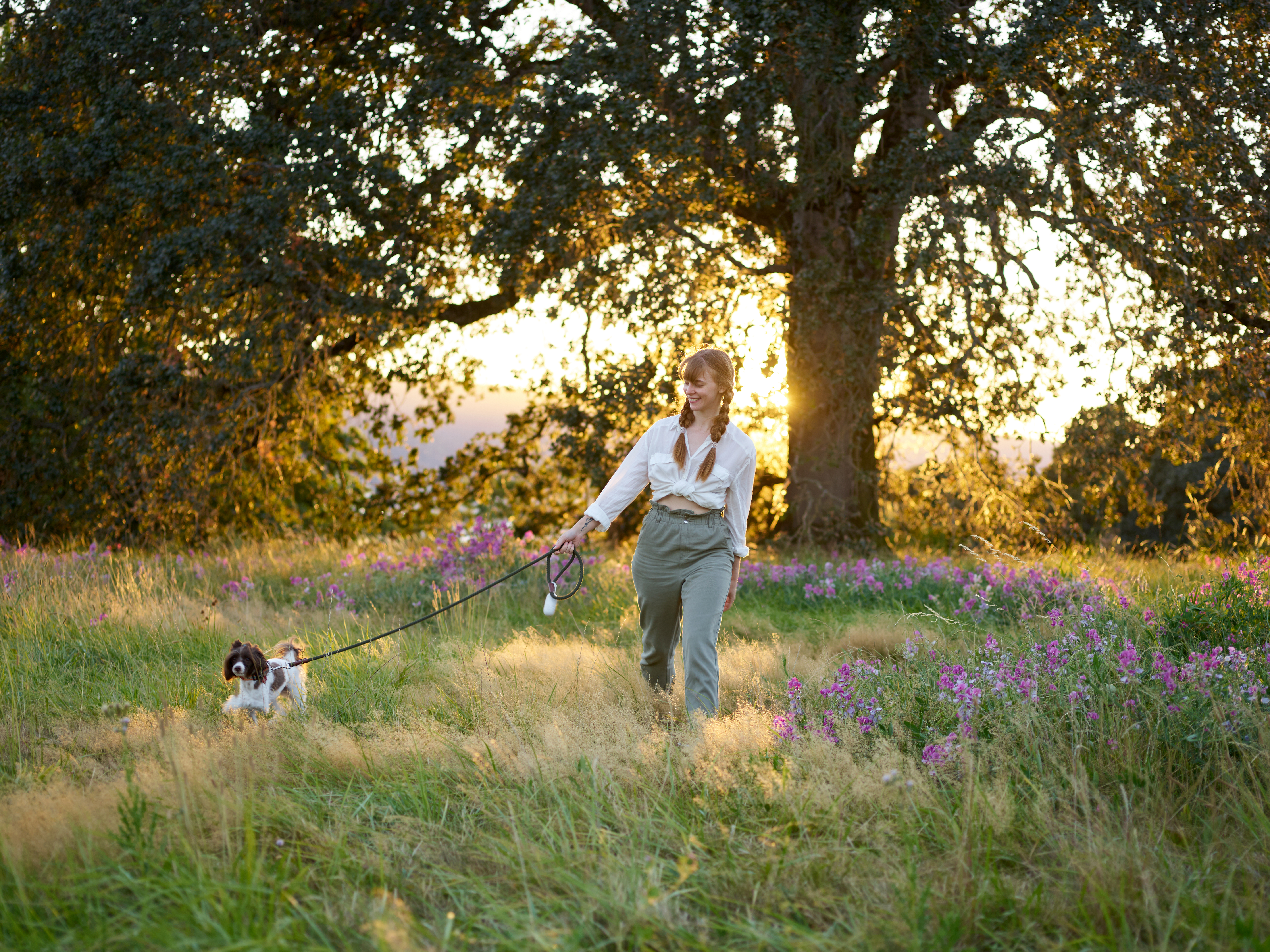 Hill's Pet Nutrition launches combination therapeutic diet supporting weight loss and mobility in cats — Photo by ArtHouse St
