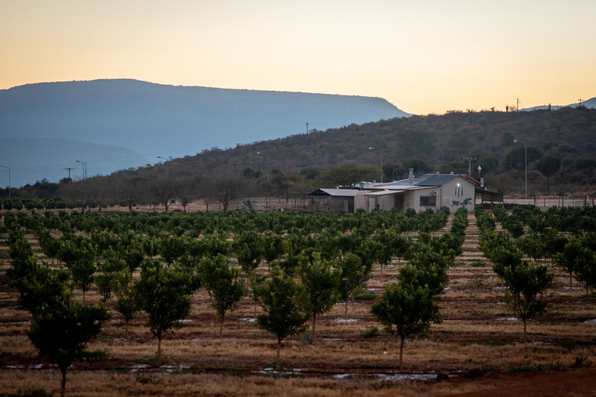 Livestock ranch at sunrise