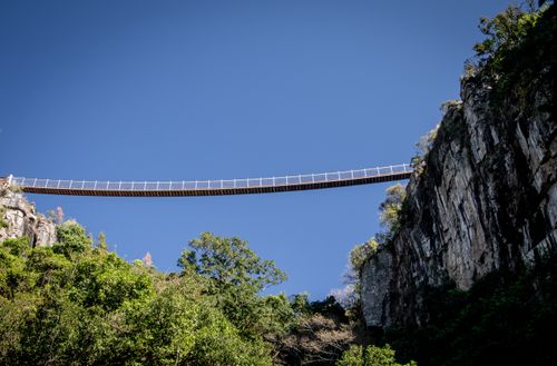 Free Low angle shot of the scenic suspension bridge over Graskop Gorge, surrounded by lush greenery. Stock Photo