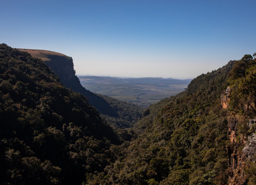 Captivating view of Graskop's lush valleys and cliffs under a clear blue sky.