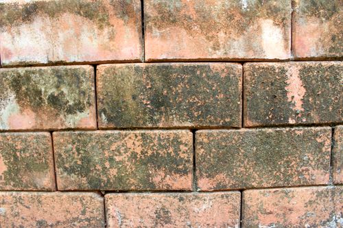 Free Close-up view of a moss-covered brick wall texture, showcasing natural patterns. Stock Photo