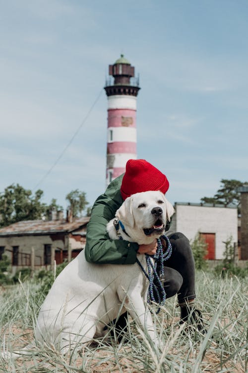Person Hugging a Dog