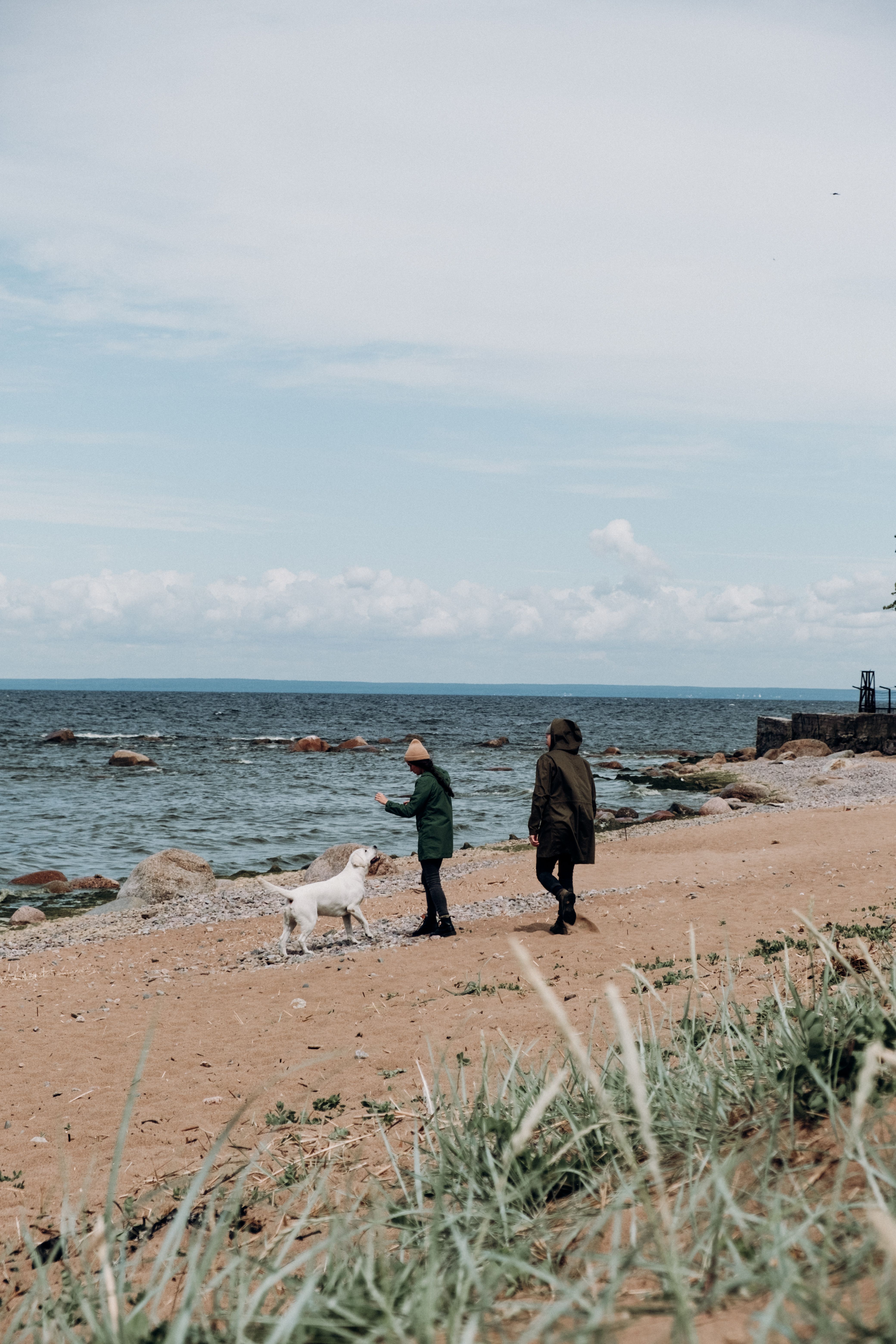 free things to do in ct