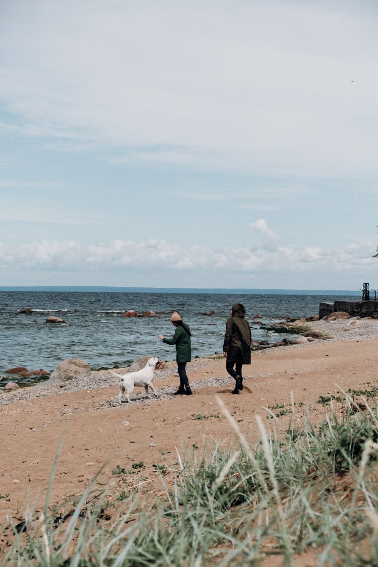 A Couple Walking With Their Dog On The Beach