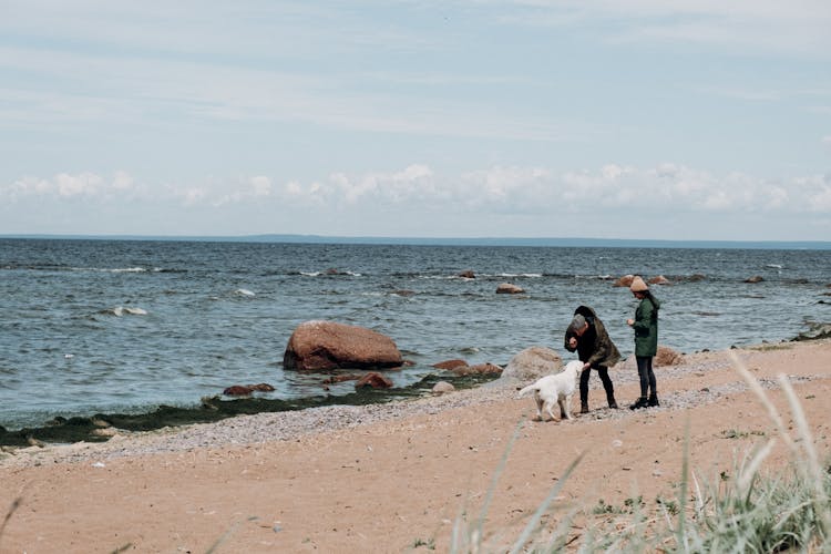 A Couple And Their Dog On The Beach