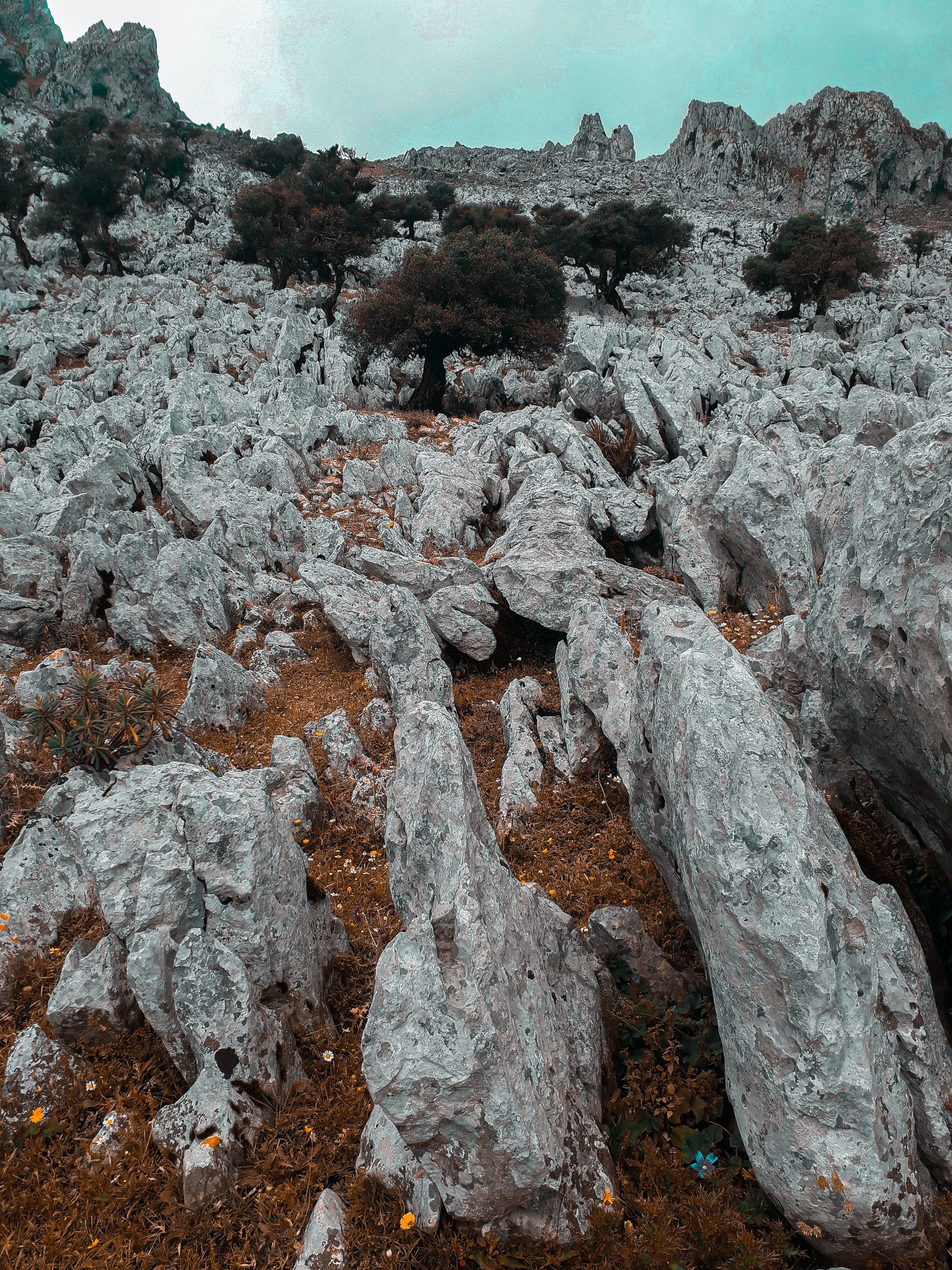 Kostenlos Kostenloses Stock Foto zu arktische natur, bett aus steinen, braune felsen Stock-Foto