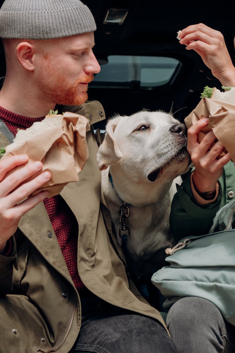 Dog Sniffing Food