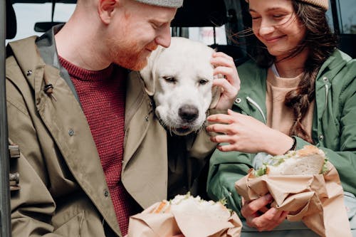 Homem De Camisa Marrom Com Botões E Segurando Cachorro De Pêlo Curto Branco