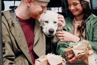 一对夫妇微笑着在户外野餐时，与他们的拉布拉多猎犬共享了一个温馨时刻