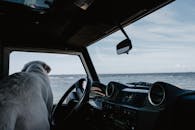 一只狗从车窗望向大海，在水边享受着阳光明媚的一天