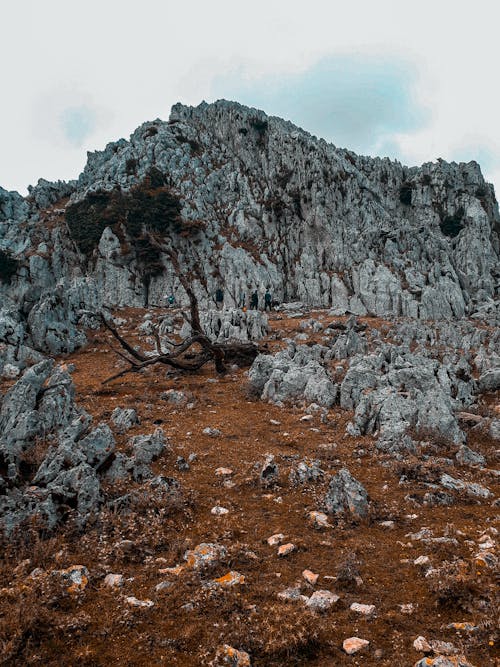 Δωρεάν στοκ φωτογραφιών με Άνθρωποι, γαλάζιος ουρανός, ηρεμία