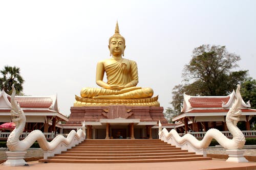 bezplatná Základová fotografie zdarma na téma buddha, buddhismus, chrám Základová fotografie