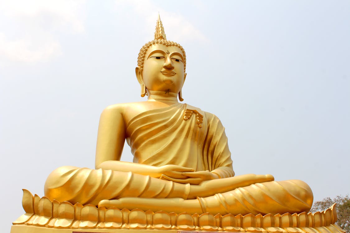 Безкоштовне стокове фото на тему «Будда, Буддизм, дерева» стокове фото