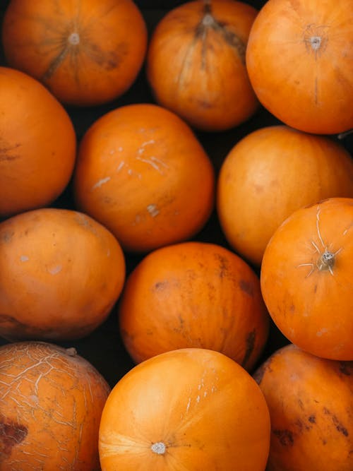 Free Close-Up Photo of Orange Pumpkins Stock Photo