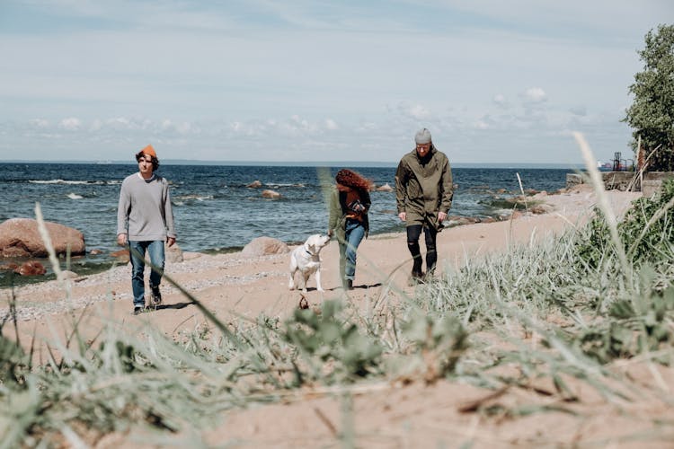 Men And A Woman Walking At The Beach With A Dog