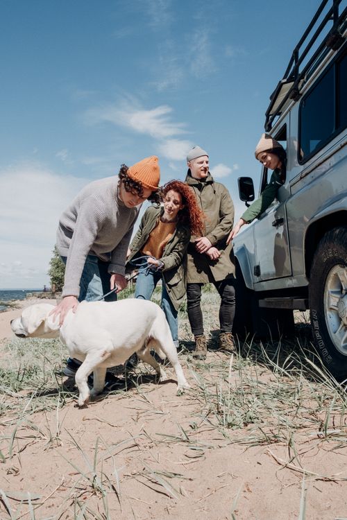 Free Group of friends enjoying a beach road trip with their dog on a sunny day. Stock Photo
