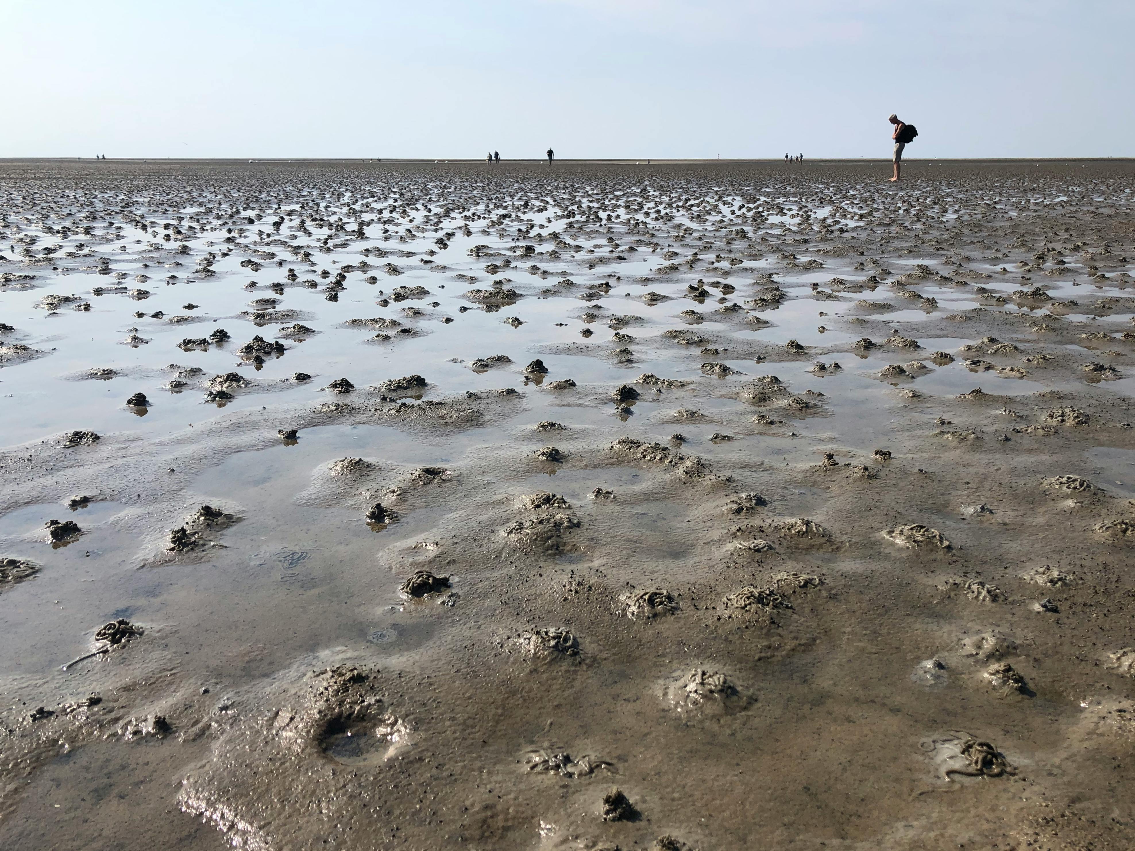 Website Design with Edited Photos