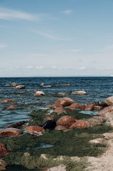 宁静的海滨景观，以岩石海岸和蓝天下的海浪为特色