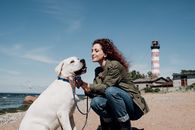 一位妇女和她的拉布拉多犬在灯塔的背景下，于海滩上享受着阳光明媚的一天