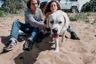 一对年轻夫妇和他们友好的拉布拉多犬正坐在沙滩上，享受着阳光明媚的一天