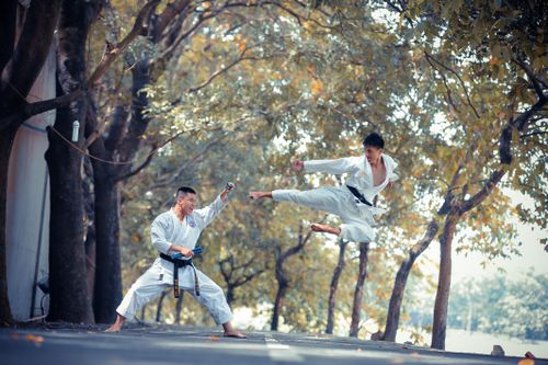 Free Two martial artists practicing dynamic kicks on a tree-lined path in Vietnam. Stock Photo