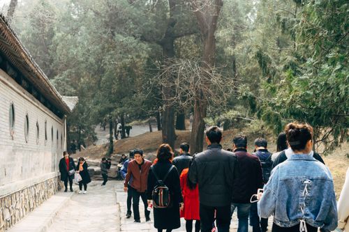 Free A crowd walks along a forest path next to an ancient building on a sunny day. Stock Photo