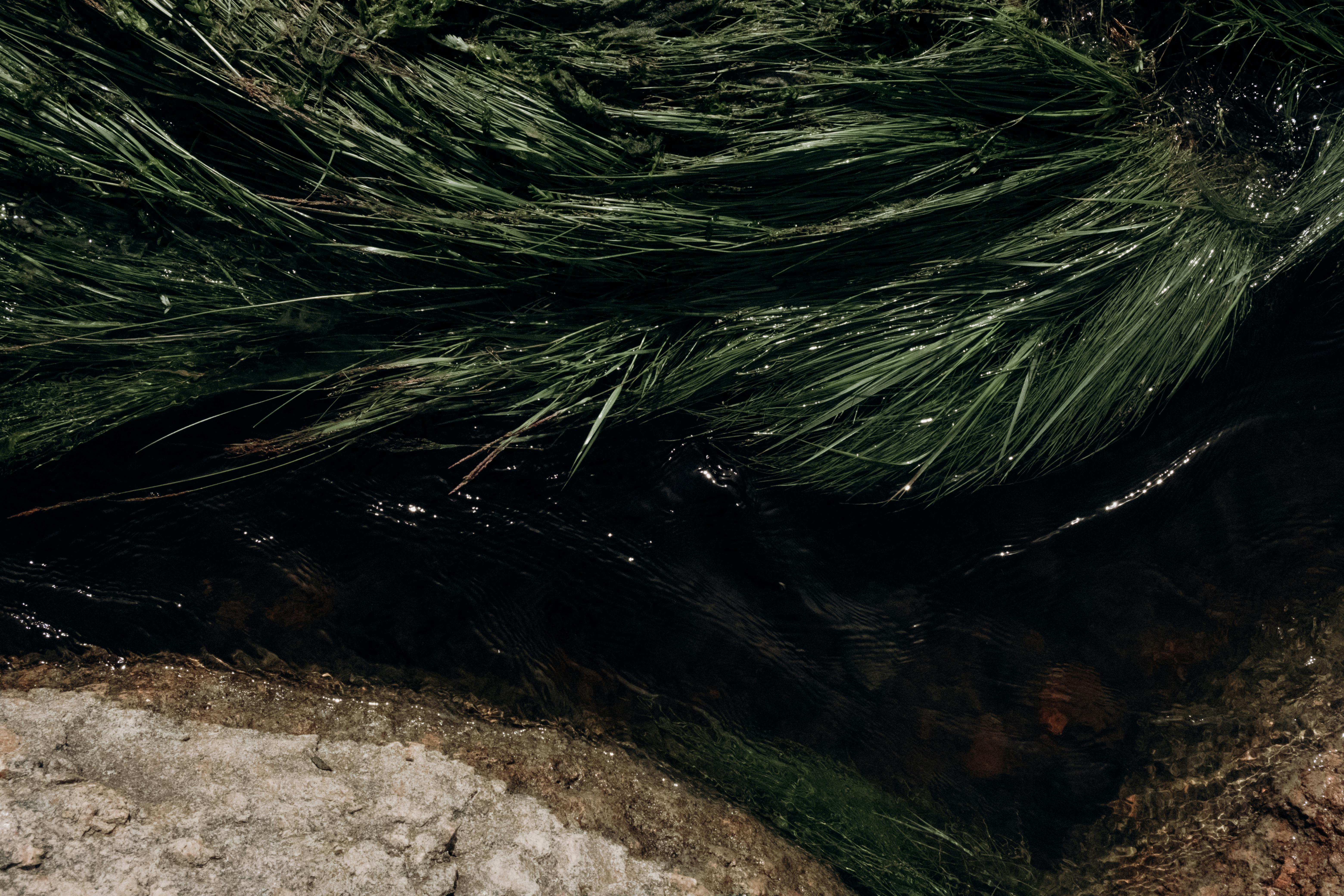 Pilates workout at home - Step-by-Step