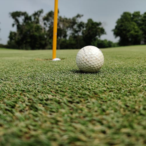 Free White Golf Ball on Green Grass Field Stock Photo