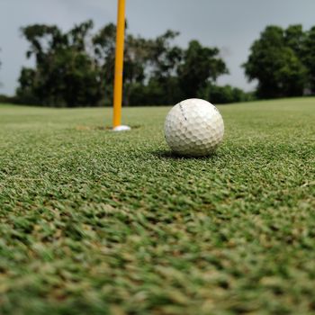 Golf ball near the hole on a lush green course in New Delhi, India, perfect for sports visuals.（イメージ）