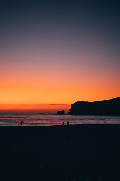 Silhouette of People Walking on Beach during Beautiful Sunset