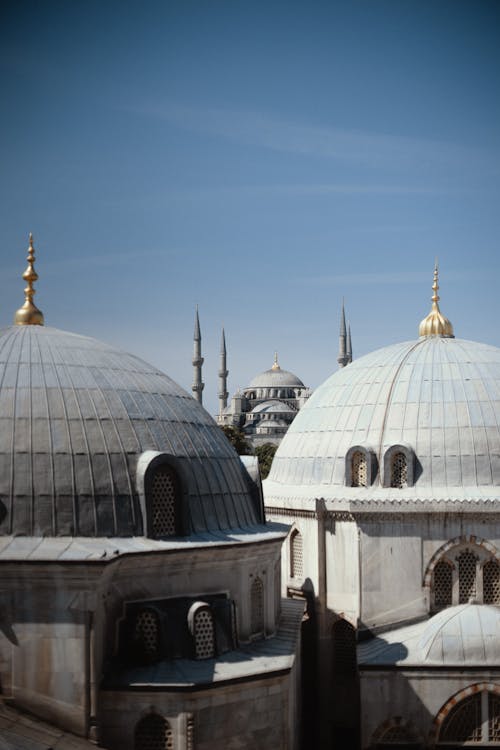 Foto d'estoc gratuïta de a l'aire lliure, adoració, amants d’istanbul