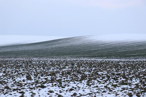 A Snow Covered Landscape