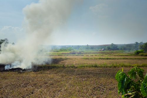 Free Smoke rises above rural fields, showcasing a sunny countryside scene. Stock Photo